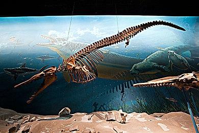 11 bit《冰汽时代2》发行后更新路线图公布