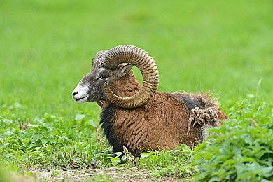 《开普勒太空探索》Steam试玩发布 宇宙探索模拟